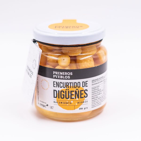 encurtido-diguenes