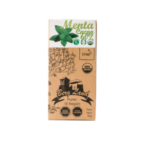 Barra chocolate orgánico menta