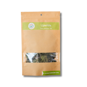 Hierba llantén